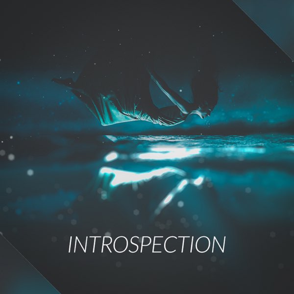 Introspection (feat. Rapzor \)Cover Art